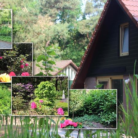Heesch Vakantiepark Zevenbergen מראה חיצוני תמונה